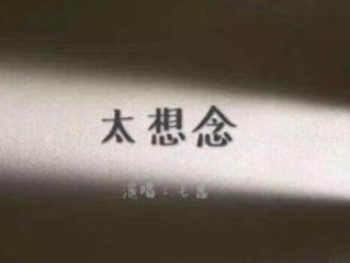 抖音神曲太想念歌词,抖音神曲太想念
