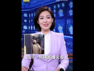 主播说联播在哪里看,主播说联播在哪个app看