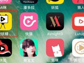 包含抖音网页版在线观看在线观看的词条