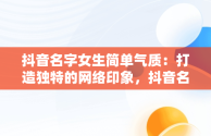 抖音名字女生简单气质：打造独特的网络印象，抖音名字女生简单气质带符号 