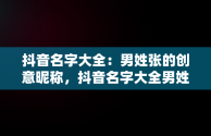 抖音名字大全：男姓张的创意昵称，抖音名字大全男姓张怎么取 