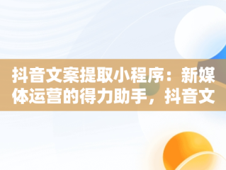 抖音文案提取小程序：新媒体运营的得力助手，抖音文案提取小程序怎么弄 