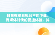 抖音在线看视频不用下载：流媒体时代的便捷体验，抖音在线看视频不用下载吗 