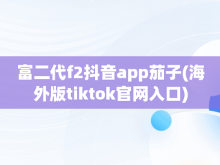 富二代f2抖音app茄子(海外版tiktok官网入口)