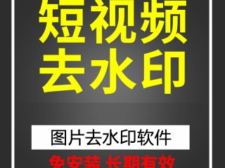 短视频去水印免费版,短视频去水印免费下载