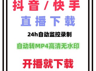 快手视频批量下载工具(如何批量下载快手短视频)