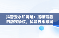 抖音去水印网址：揭秘背后的版权争议，抖音去水印网址解析 