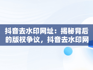 抖音去水印网址：揭秘背后的版权争议，抖音去水印网址解析 