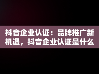 抖音企业认证：品牌推广新机遇，抖音企业认证是什么意思啊 