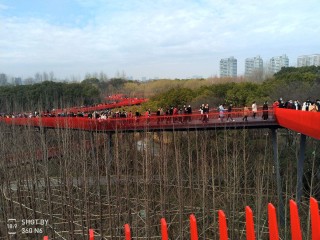 网红桥有什么技巧,网红桥怎么玩