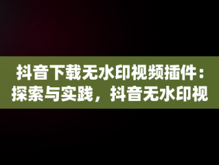 抖音下载无水印视频插件：探索与实践，抖音无水印视频下载app 