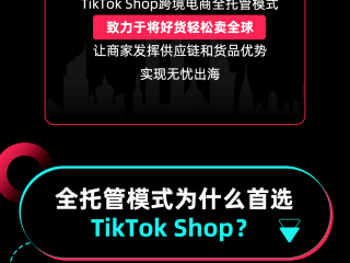tiktok跨境电商代运营(tiktok跨境电商解决方案)