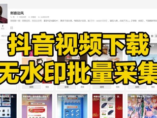 抖音下载视频去水印(保存别人抖音视频怎么去水印)
