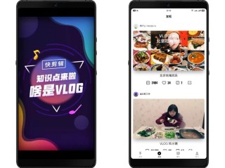 短视频网红助手(短视频网红助手刷双击所有的作品)