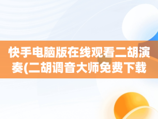 快手电脑版在线观看二胡演奏(二胡调音大师免费下载安装官方)
