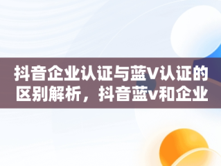 抖音企业认证与蓝V认证的区别解析，抖音蓝v和企业号有什么区别 