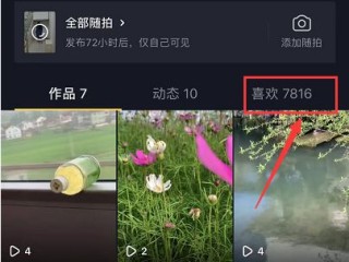 抖音视频电脑在线观看,抖音视频电脑在线观看怎么看