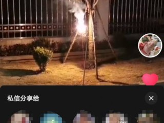 抖音小视频频(抖音视频短视频)