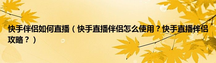 快手直播伴侣户外使用手机摄像头吗?,快手直播伴侣接入摄像头是什么意思