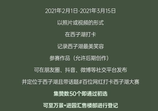 网红大事件百度百科,网红大事件百度百科视频