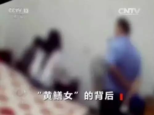 黄鳝主播的简单介绍