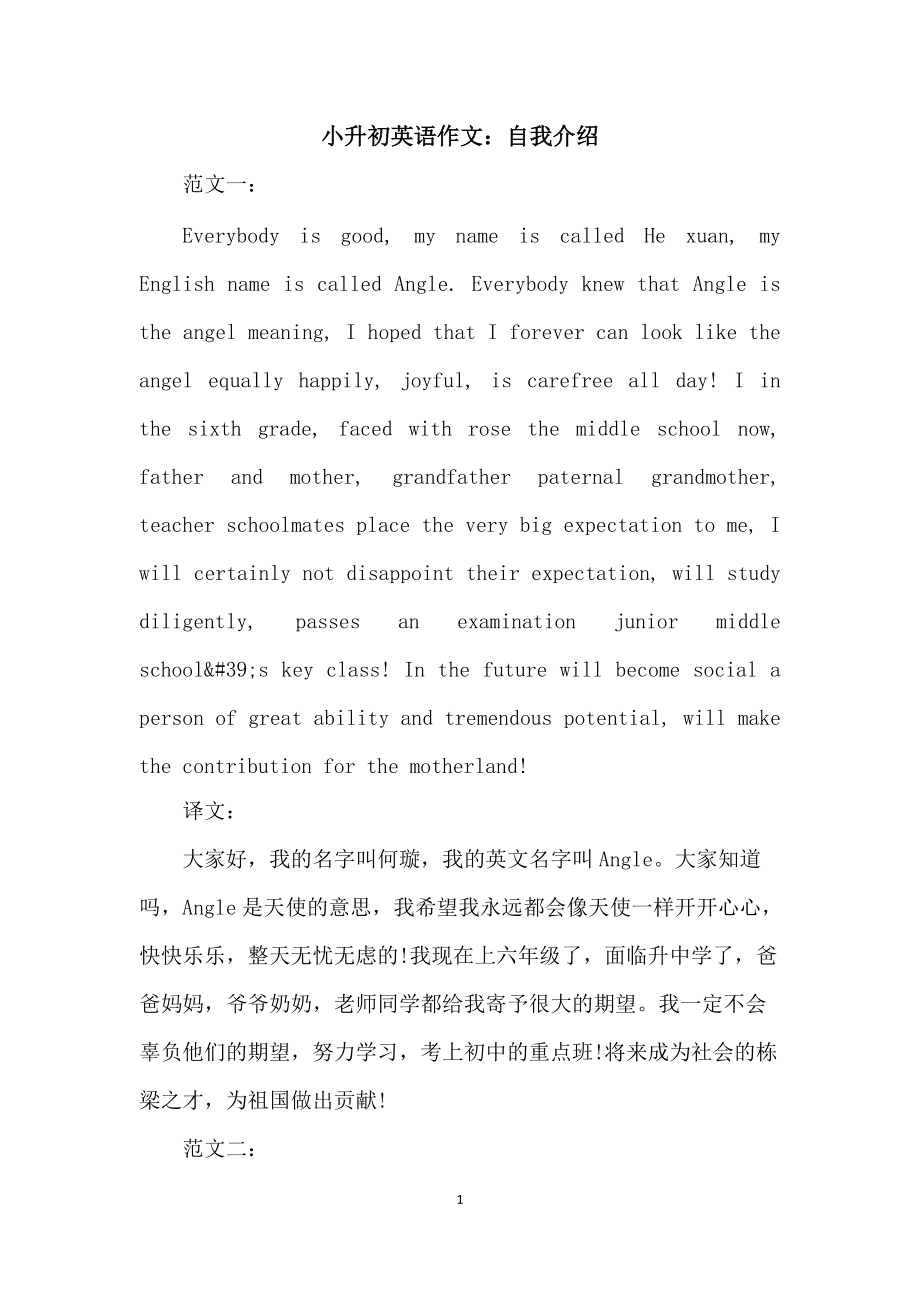 免费自动写作软件,自动英语作文生成器