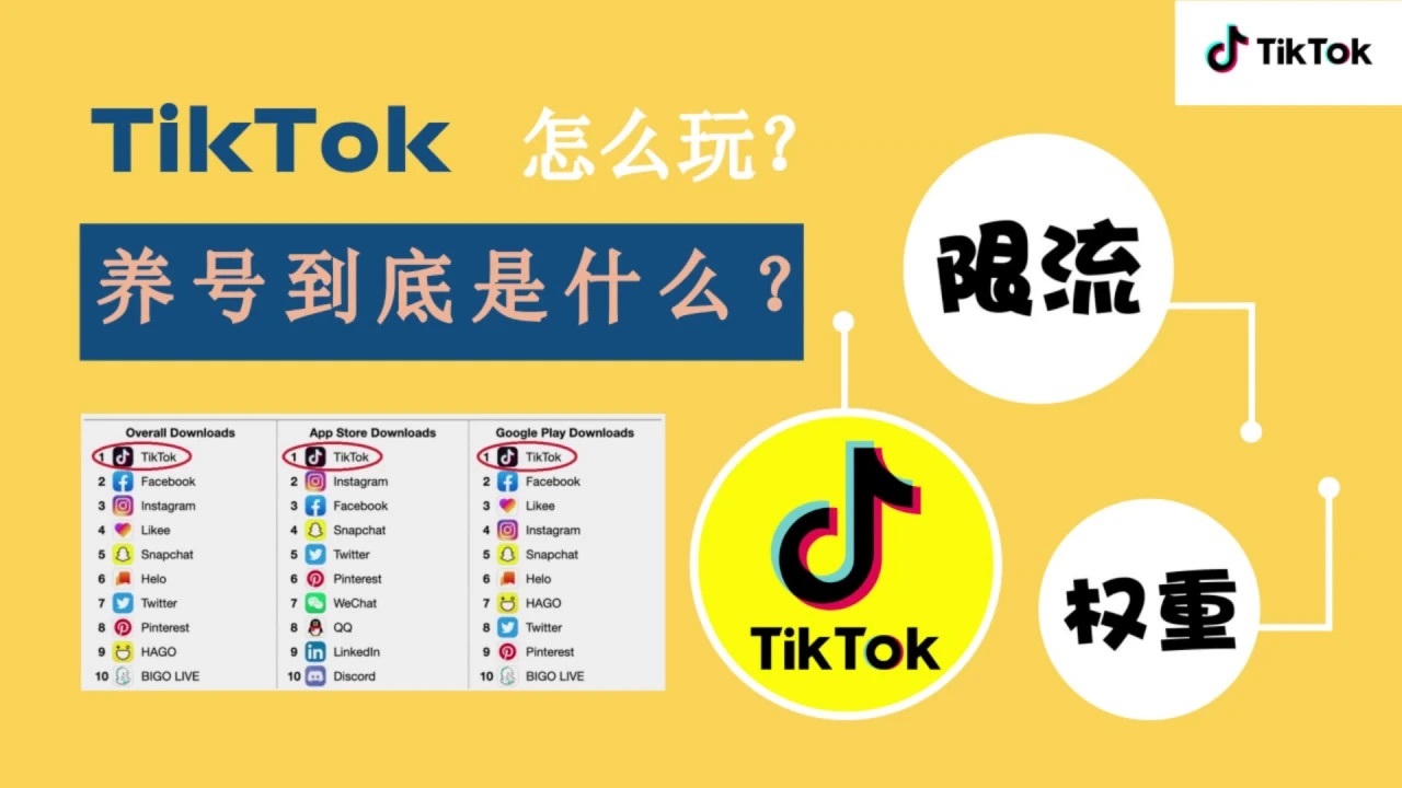 抖音国际版tiktok,抖音国际版tiktok加速器