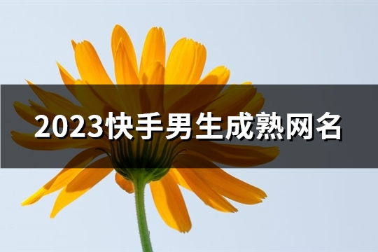 快手网页版免费下载2023,快手网页版免费下载2023版