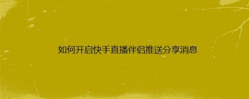 快手直播伴侣官方网站,快手直播伴侣百度百科