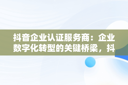 抖音企业认证服务商：企业数字化转型的关键桥梁，抖音企业认证服务商返点 