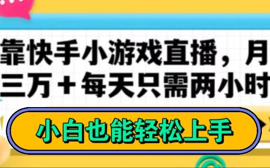 快手小游戏平台(游戏中心快手小游戏)