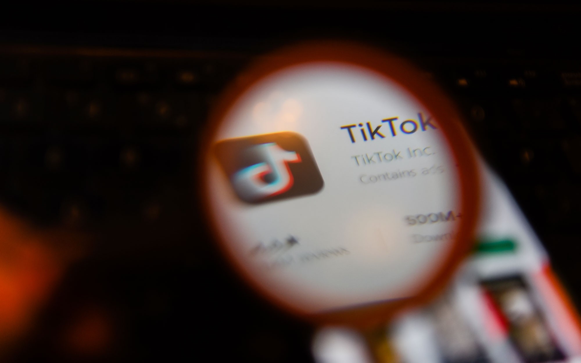 抖音国际版tiktok色板软件的特点,抖音国际版tiktok色板