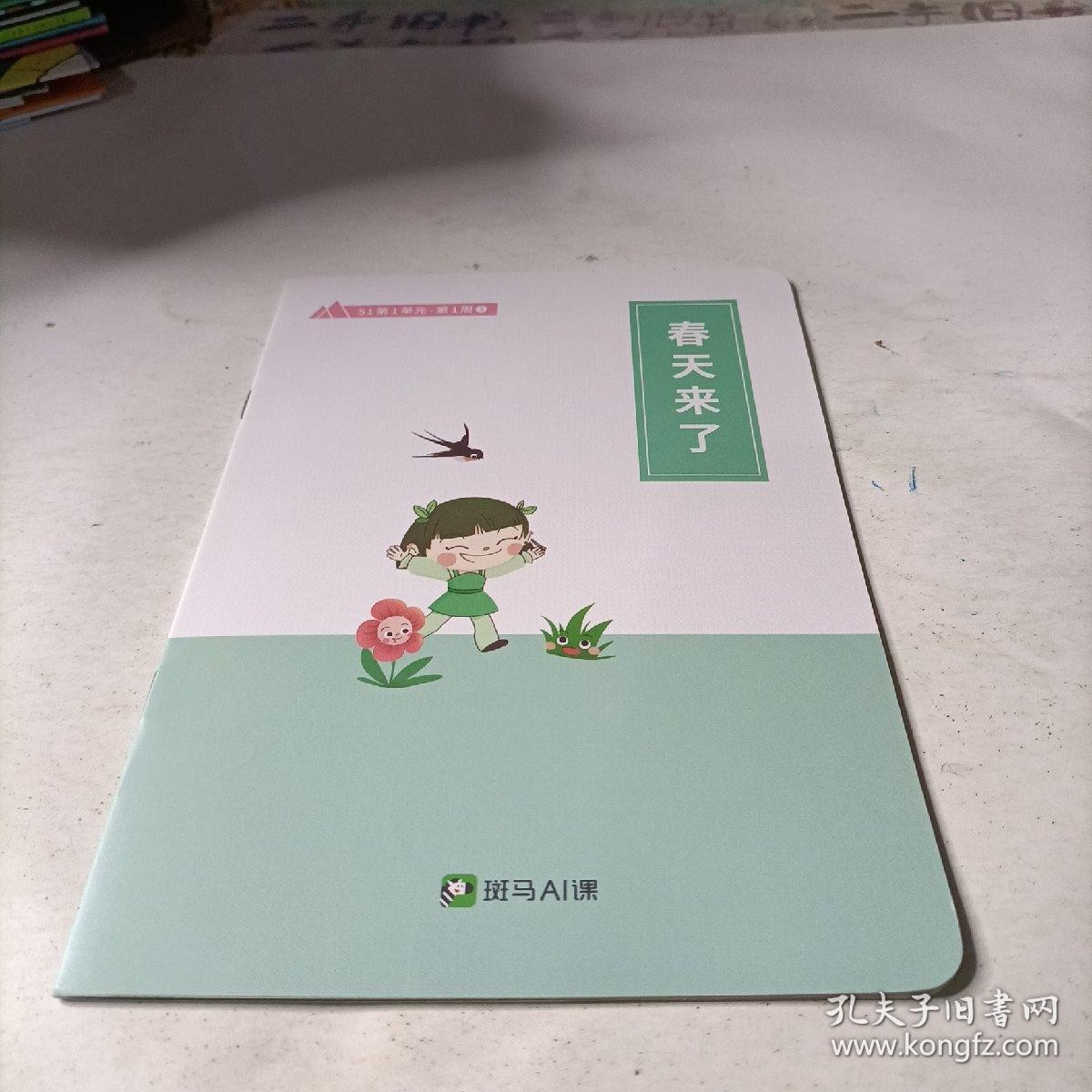斑马AI课是什么,斑马ai课
