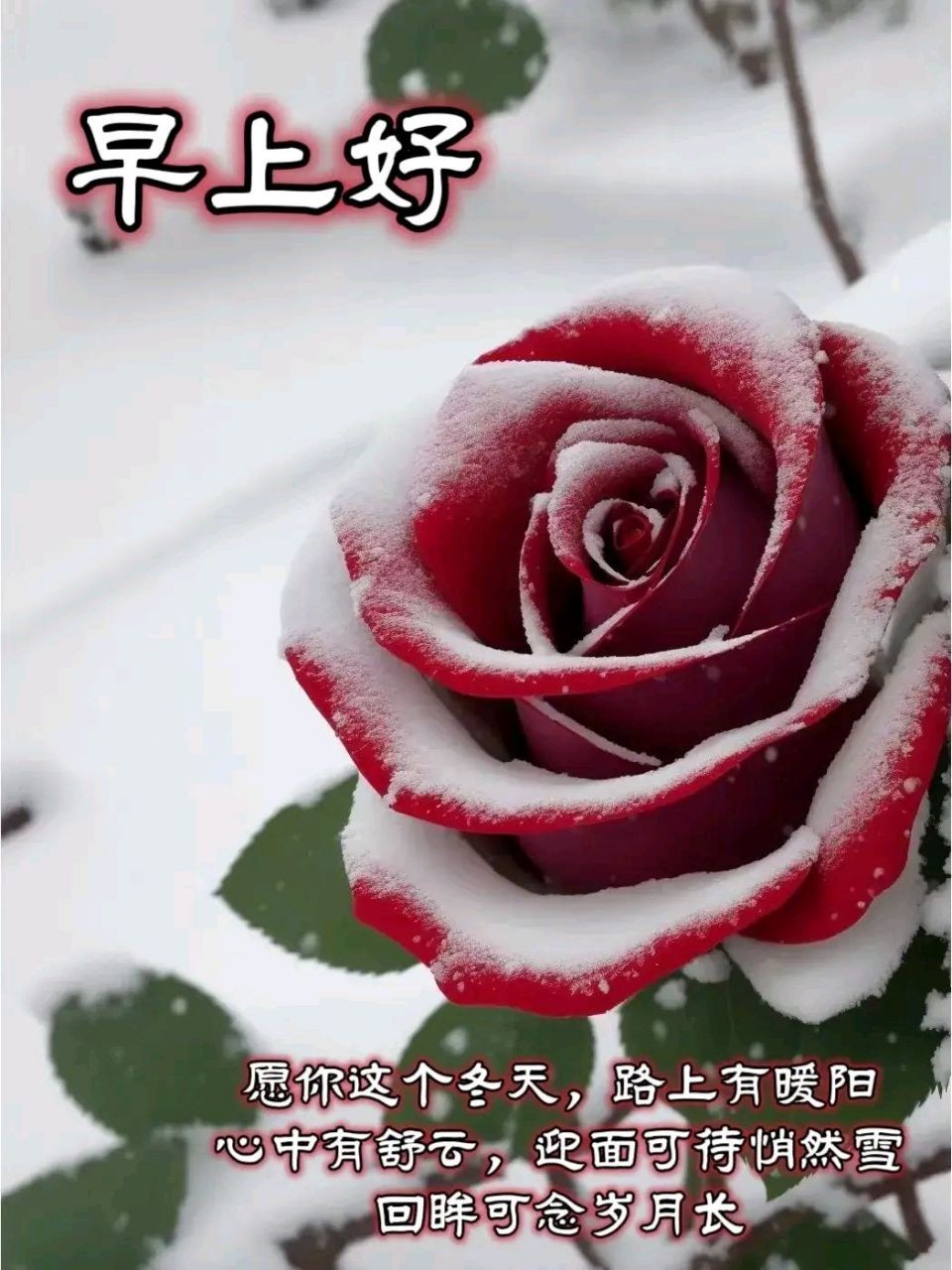 冬季早安最火图片(冬季早安暖心话图片)