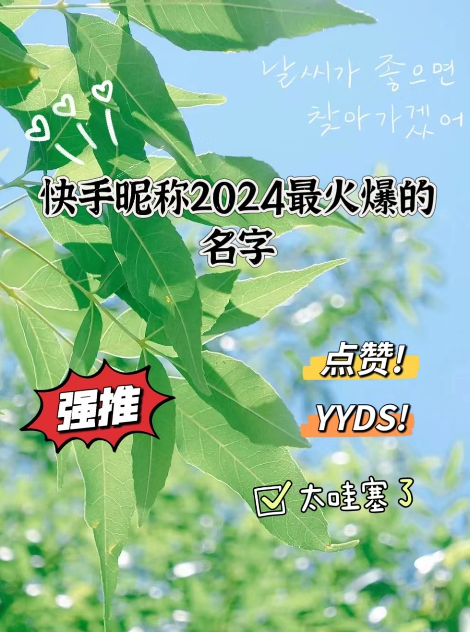 2020快手火爆昵称三个字,最火快手名字大全三字