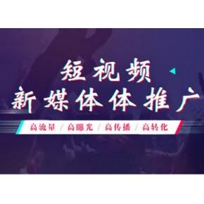 北京短视频代运营公司,北京短视频运营公司有哪些